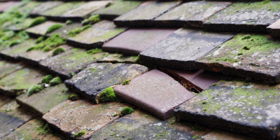 Chivery roof repair costs